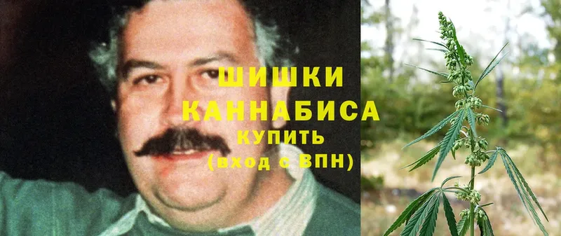 Конопля индика  Райчихинск 